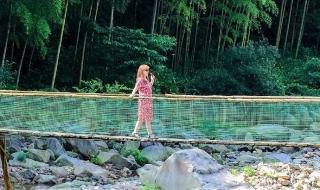 石斑鱼用什么呼吸 石斑鱼用什么呼吸